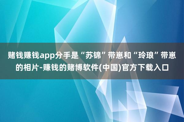 赌钱赚钱app分手是“苏锦”带崽和“玲琅”带崽的相片-赚钱的赌博软件(中国)官方下载入口