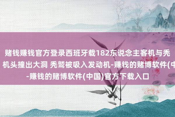 赌钱赚钱官方登录西班牙载182东说念主客机与秃鹫相撞进击返航：机头撞出大洞 秃鹫被吸入发动机-赚钱的赌博软件(中国)官方下载入口
