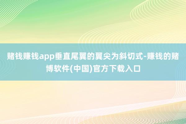 赌钱赚钱app垂直尾翼的翼尖为斜切式-赚钱的赌博软件(中国)官方下载入口